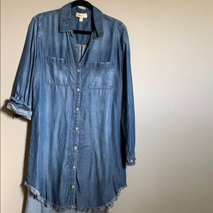 Cloth & Stone Denim Dress